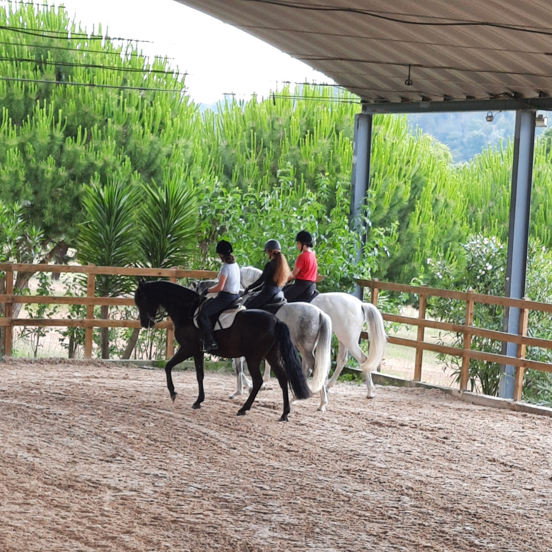 Horse Riding Lessons