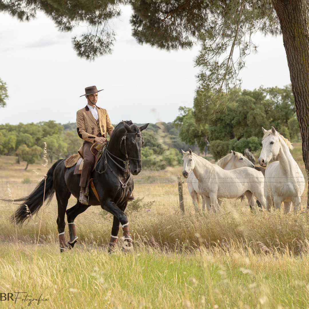 Equestrian Packages