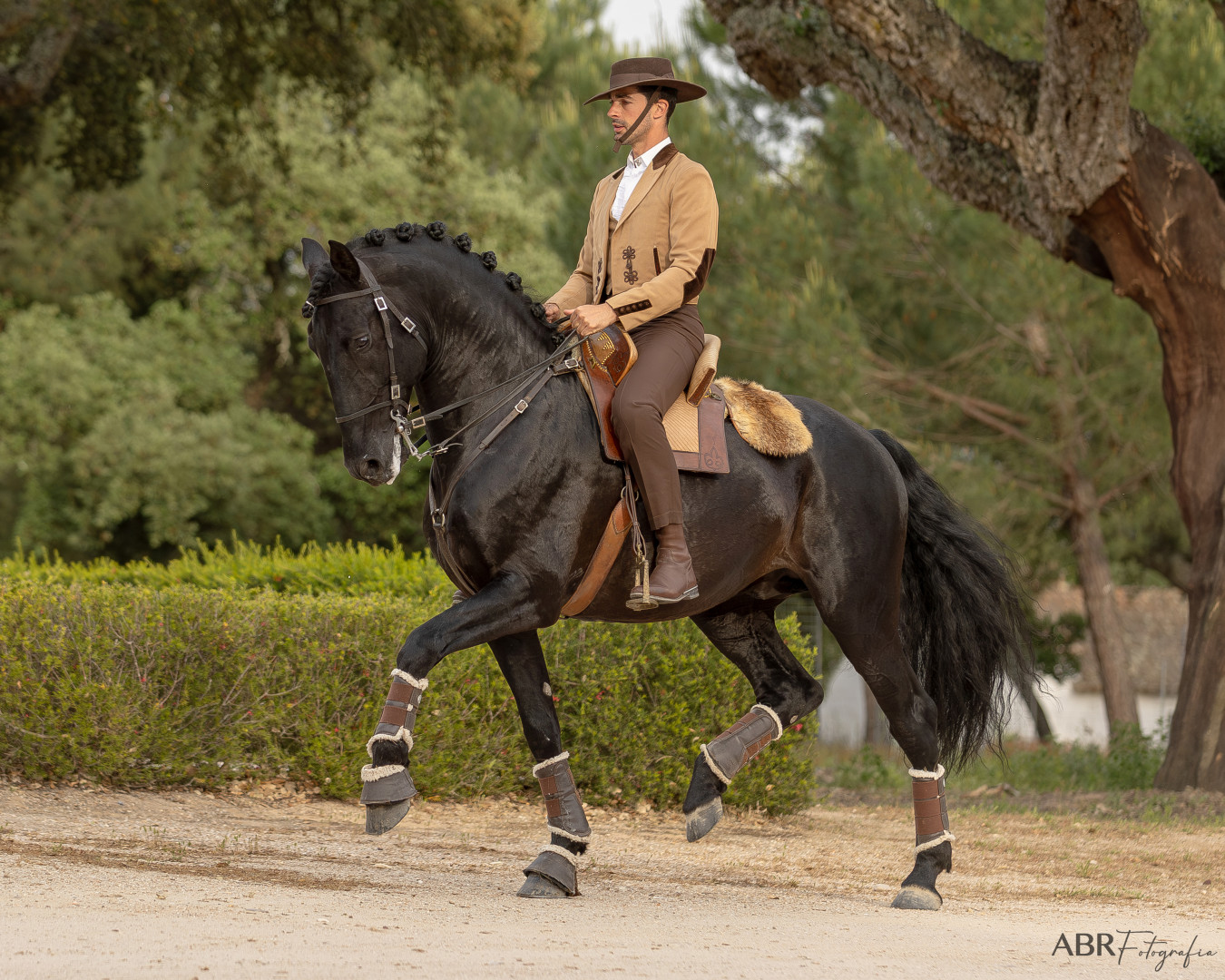 A nossa essência