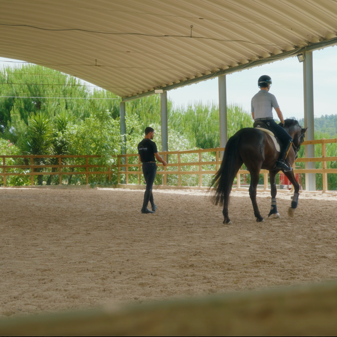 Intensive Training