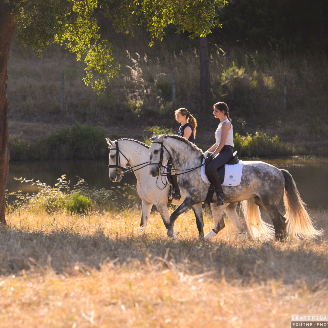 Horse Riding