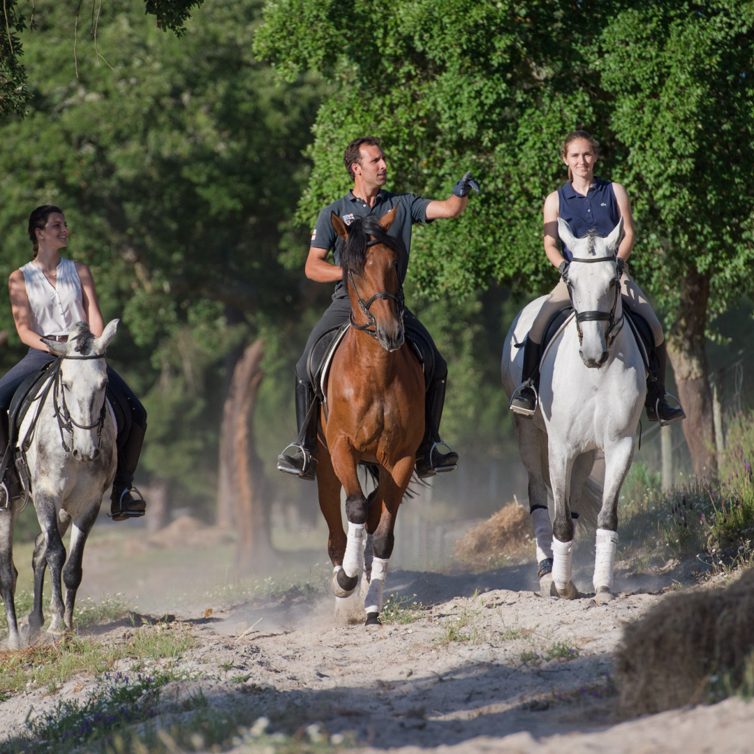 Passeios a Cavalo na Herdade do Ribatejo
