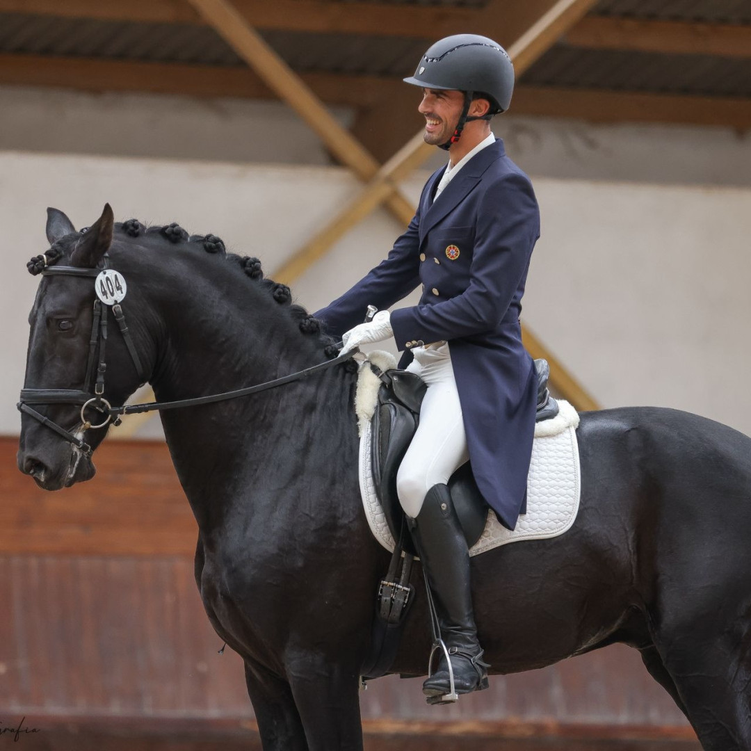Dom Cavalo